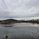 서호공원 이미지