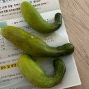 청춘을파는상회대구대점 | 25년 7월 기록