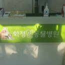 화정힐동물병원 이미지