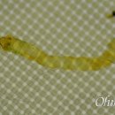 진해구 ⓒ-41 이미지