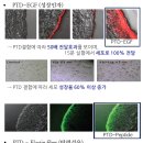 토털하이테크 이미지
