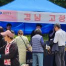 공룡장터