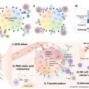 성균관대학교 의학전문대학원 이미지