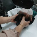 정원미용실 네이버블로그
