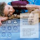 프랜즈 세탁 네이버블로그