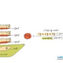 강남-133 이미지