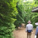 호암늘솔길 화장실 이미지