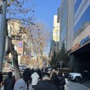 야옹아 멍멍해봐 계림점 | 성심당 말차시루 웨이팅 꿀팁 | 케익부띠끄 본점 차이, 웨이팅 몇시간?