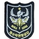 제1공수특전여단 | 육군 특수전사령부 사자부대 위치 마크 예하부대 지원까지 총정리