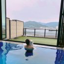 BE애견용품 펫노트