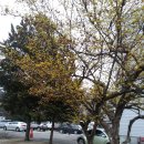 순박1농장 이미지