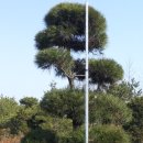 낭산농장 이미지