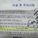 동물병원왓슨