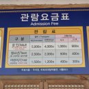 해이 민박 | 안동가볼만한곳 하회마을 주차 입장료 애견동반 대형견가능