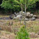 금송농장2 이미지