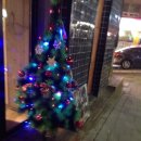 사랑해줄개 애견샵 이미지