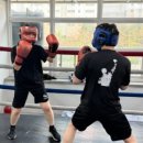 더 프리미엄 복싱 이미지