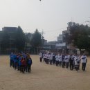 서울보광초등학교 이미지