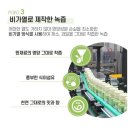 햇풀먹인 간에좋은 돌미나리 신선초 100% 녹즙 착즙 클렌즈 그린 주스 120ml 12개 솔직후기