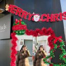 노을한우농장 | 2025.12 일상(로주다라미 모임, 강릉 여행, 연말)