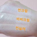 제주퍼펙트클린