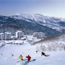 곤지암리조트 스키장 티스토리