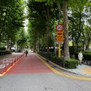 카메라 단속중 표지판 이미지