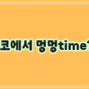 코코애견 티스토리