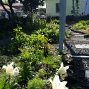 바람에정원 민박 이미지