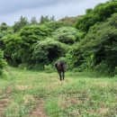 명선목장 이미지