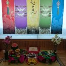 동막골흑염소 이미지