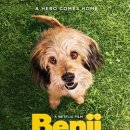 똑똑하개 이미지