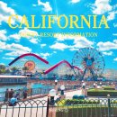 광산 라디에타 | LA 디즈니랜드 파크 종류 역사 '디즈니 덕후'가 알려주는 첫 방문자를 위한 가이드