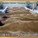 효소방 네이버블로그