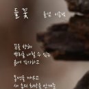 르노코리아자동차서비스코너 이미지