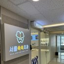 감동치과의원 | 마곡 치과 서울쏙쏙치과의원 스케일링 후기