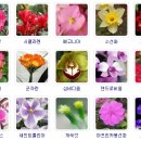 꽃과함께 이미지