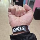 챔피온 전자 | 로드FC 075 털보네액상공장 공식 스폰서 웰터급 윤태영 챔피언 등극 관람 후기