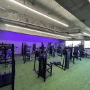 하데스클럽 가음정점 이미지