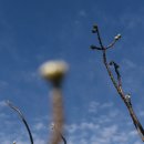 신효동-27 이미지