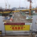 대조-008 이미지