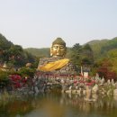 와우정사 이미지