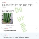 평화로운 월요일에 식물 달글의 등장이라,, 이미지