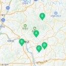 법인가루매 이미지