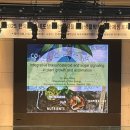 식물부자 | 2025 GRSRC 한국분자세포생물학회 식물분과 심포지엄 후기!