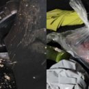 죽에 커피 섞은 &#39;가짜 토사물&#39;로 합의금 1억 편취한 택시기사﻿ 이미지