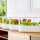 작은정원 이미지