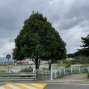 구)주촌초등학교 | day3 아이들과 가기 좋은 이색 공공도서관 “김해지혜의바다”에서 독서여행