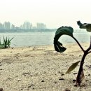 한강 산책 이미지