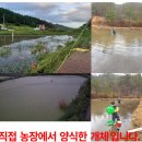 Bizidduk 이미지